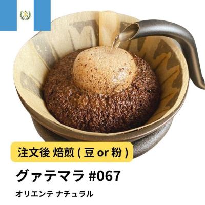 ふるさと納税 堺市 [豆]コーヒー #067 グアテマラ オリエンテ ナチュラル 310g