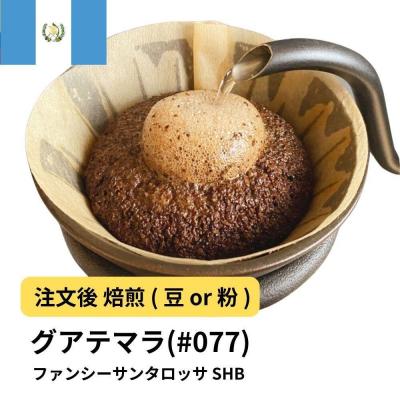 ふるさと納税 堺市 [豆]コーヒー #077 グアテマラ ファンシーサンタロッサ SHB 310g