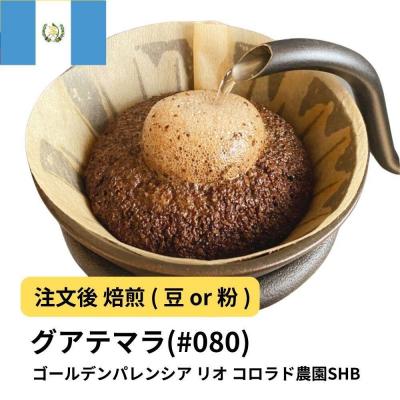 ふるさと納税 堺市 [粉]コーヒー #080 グアテマラ ゴールデンパレンシア リオ コロラド農園SHB 310g