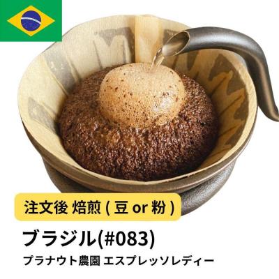 ふるさと納税 堺市 [豆]コーヒー #083 エスプレッソ レディー プラナウト農園 310g