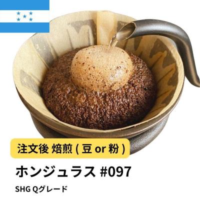 ふるさと納税 堺市 [豆]コーヒー #097 ホンジュラス SHG Qグレード 310g
