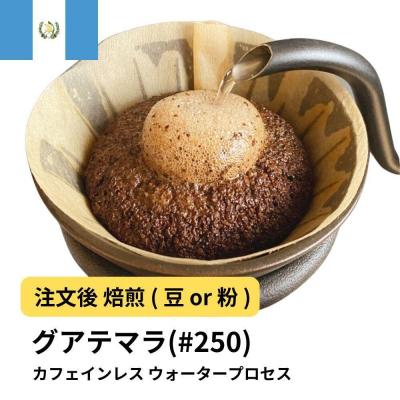 ふるさと納税 堺市 [豆]コーヒー #250 グアテマラ デカフェ ウォータープロセス 310g