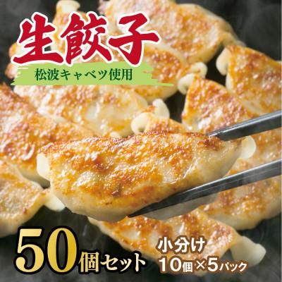 ふるさと納税 泉佐野市 生餃子 50個セット[小分け 5パック 甘いと評判 松波キャベツ使用] 010B1538