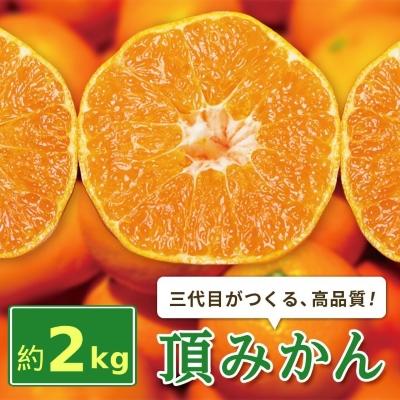 ふるさと納税 八幡浜市 三代目がつくる高品質【頂みかん】2kg