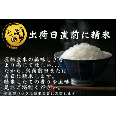 ふるさと納税 鷹栖町 令和7年産予約 たかすのお米 特別栽培米 ゆめ