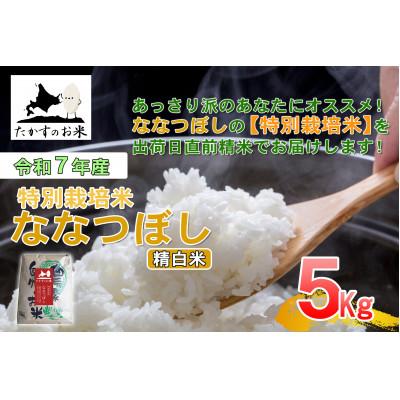 ふるさと納税 鷹栖町 [令和7年産新米予約]たかすのお米 「特別栽培米 ななつぼし」5kg(精白米)