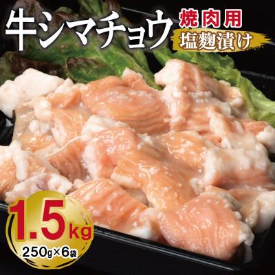 ふるさと納税 泉佐野市 牛シマチョウ 焼肉用 塩麹漬け 合計1.5kg[味付け 小分け 牛肉ホルモン] 099H3380