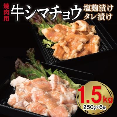 ふるさと納税 泉佐野市 牛シマチョウ 焼肉用 塩麹・タレ漬けセット 合計1.5kg[小分け 牛肉ホルモン] 099H3379
