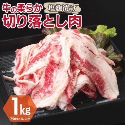 ふるさと納税 泉佐野市 牛肉 切り落とし 塩麹漬け 合計1kg[味付け 小分け 焼くだけ BBQ] 099H3389