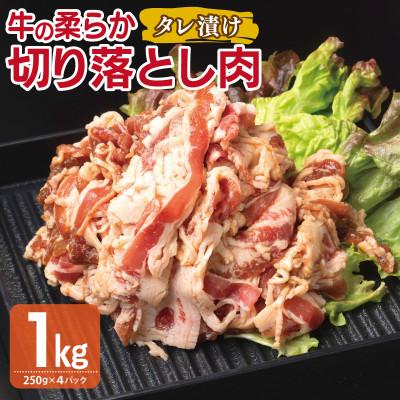 ふるさと納税 泉佐野市 牛肉 切り落とし タレ漬け 合計1kg[味付け 小分け 焼くだけ BBQ] 099H3385