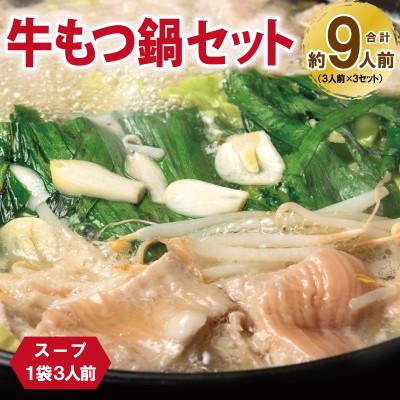 ふるさと納税 泉佐野市 牛もつ鍋セット スープ付 約9人前[味付け 小分け 牛肉 ホルモン 醤油ベース] 099H3382