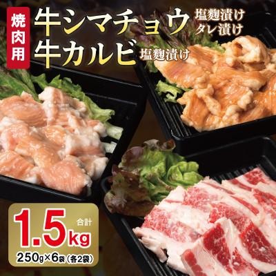 ふるさと納税 泉佐野市 牛シマチョウ(タレ漬け+塩麹)&amp;塩麹漬け牛カルビの焼肉セット 合計1.5Kg 010B1667