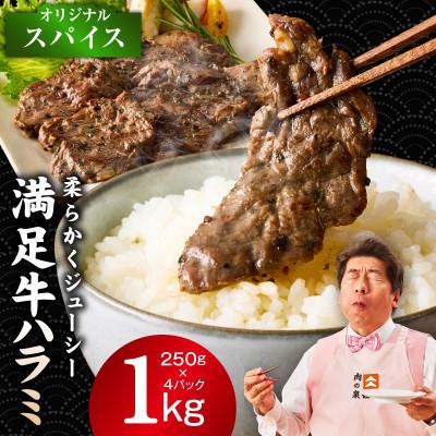 ふるさと納税 泉佐野市 満足牛ハラミ オリジナルスパイス仕込み 合計1kg 味付け 小分け 焼くだけ 099H4182
