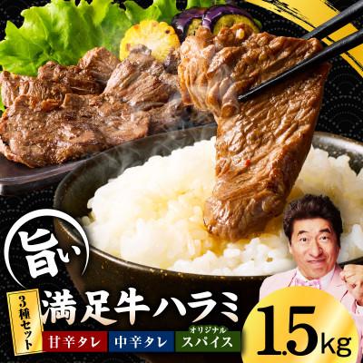 ふるさと納税 泉佐野市 満足牛ハラミ3種セット(甘辛・中辛・オリジナルスパイス)各2袋 合計1.5kg 099H4186