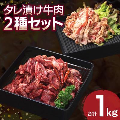 ふるさと納税 泉佐野市 タレ漬け牛肉2種セット 牛ハラミ・牛切落とし(各2P) 合計1kg