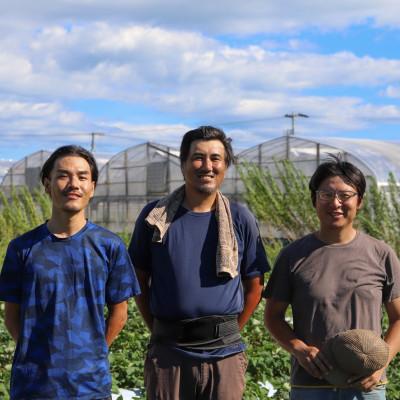 ふるさと納税 高知市 【栽培期間中農薬・化学肥料不使用】土佐の太陽をいっぱいに浴びた旬の野菜セット「大」【BA002】 |  | 03