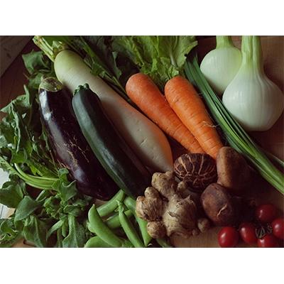 ふるさと納税 土佐市 [土佐野菜]旬の野菜の詰め合わせと栽培期間中に農薬不使用の生姜100g付き[土佐市]