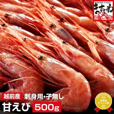ふるさと納税 敦賀市 福井県産 越前 甘えび 小サイズ 500g (約50匹前後)[ますよね えび]