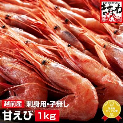 ふるさと納税 敦賀市 福井県産 越前 甘えび 小サイズ 500g (約50匹前後) ×2パック[ますよね えび]