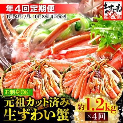 ふるさと納税 敦賀市 [定期便 年4回][生食可]ますよね商店の元祖カット済み生ずわい蟹1.2kg(総重量1.6kg)