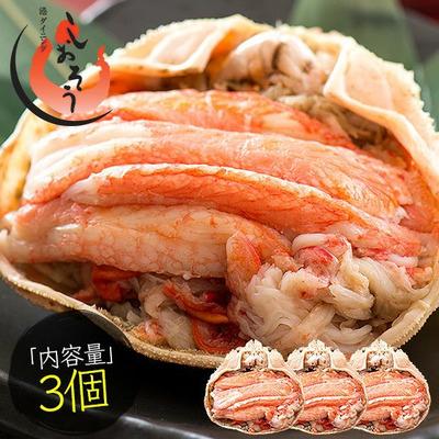 ふるさと納税 敦賀市 まるごと使用!ズワイ蟹甲羅盛り × 3個 セット[しおそう かに 蟹]