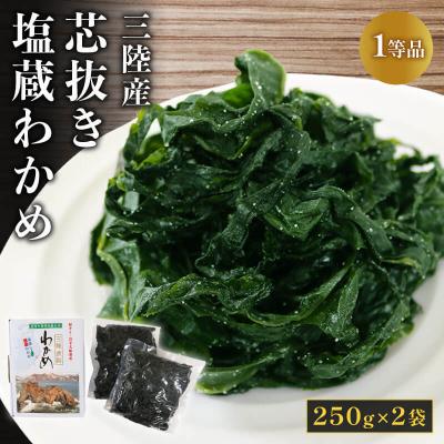 ふるさと納税 大船渡市 芯抜き塩蔵わかめ 250g×2袋 | 