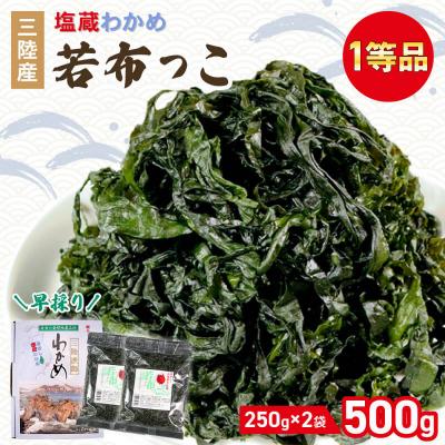 ふるさと納税 大船渡市 若芽っこ 塩蔵わかめ 250g×2袋