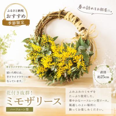 ふるさと納税 倉敷市 「春を届ける|フレッシュミモザとユーカリのハーフムーン M[2027年2月下旬-3月下旬 発送予定]