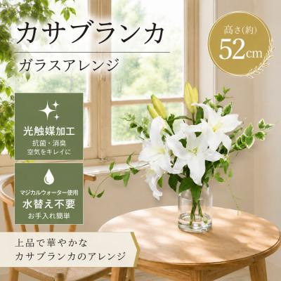 ふるさと納税 倉敷市 「凛と咲く白百合|カサブランカとグリーンの上質インテリアフラワー」|光触媒加工
