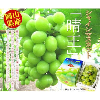 ふるさと納税 倉敷市 [2026年8月下旬以降発送]岡山県産 シャインマスカット「晴王」(1房700g以上)1房入り