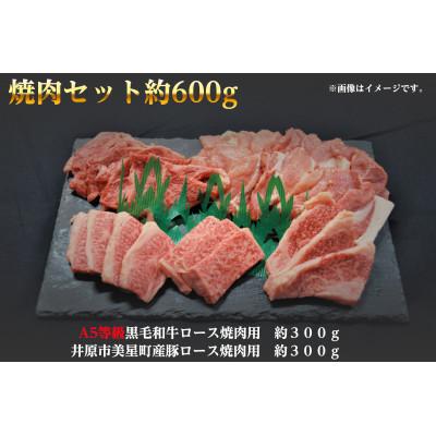 ふるさと納税 井原市 焼肉セット600g(2〜3人用)A5等級 黒毛和牛ロース約300gと豚ロース約300g 岡山県産