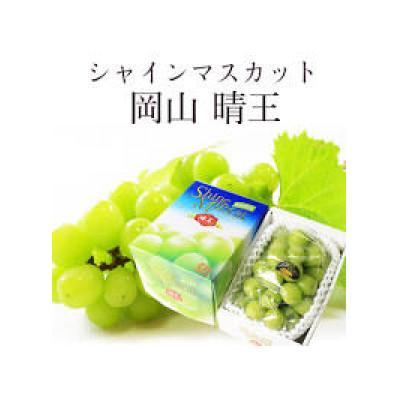 ふるさと納税 早島町 [2026年8月下旬から発送]岡山県産 シャインマスカット「晴王」(1房700g以上)1房入り