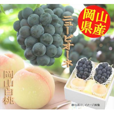 ふるさと納税 早島町 [2026年7月下旬より順次発送]岡山県産フルーツ詰合せ/白桃2玉・ニューピオーネ2房