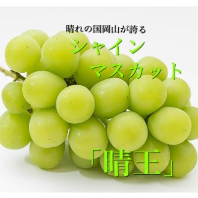 ふるさと納税 浅口市 [2026年8月下旬から発送]岡山県産 シャインマスカット「晴王」(1房600g以上)2房入り