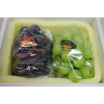 ふるさと納税 浅口市 [2026年8月下旬から発送]岡山県産 ニューピオーネとシャインマスカット「晴王」詰合せ