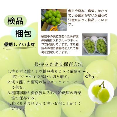 ふるさと納税 山梨市 【Yahoo!ふるさと納税限定】【2026年発送 先行受付】シャインマスカット　2房 1kg |  | 01