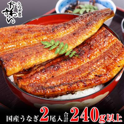 ふるさと納税 有田市 [Yahoo!ふるさと納税限定]国産うなぎ蒲焼き2本(計240g~298g)セット