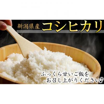 ふるさと納税 新潟市 カガヤキ農園 新潟県産特別栽培米 コシヒカリ 5kg