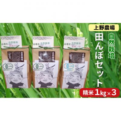 ふるさと納税 新潟市 上野農場 田んぼセット 精米1kg×3袋