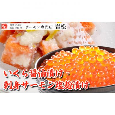 ふるさと納税 新潟市 いくら醤油漬け・刺身サーモン塩麹漬け 新潟 