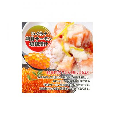 ふるさと納税 新潟市 いくら醤油漬け・刺身サーモン塩麹漬け 新潟 [54070426] |  | 01