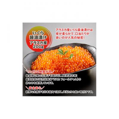 ふるさと納税 新潟市 いくら醤油漬け・刺身サーモン塩麹漬け 新潟 [54070426] |  | 02