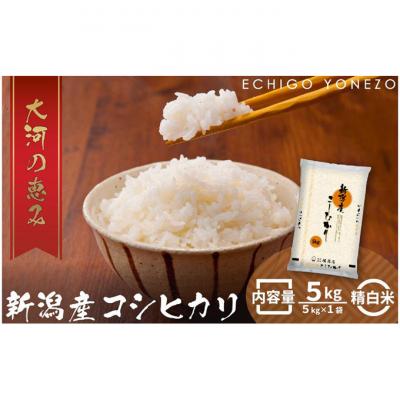 ふるさと納税 新潟市 新潟市産コシヒカリ 白米5kg