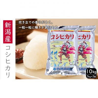 ふるさと納税 新潟市 新潟産コシヒカリ10kg [54071045] : Yahoo
