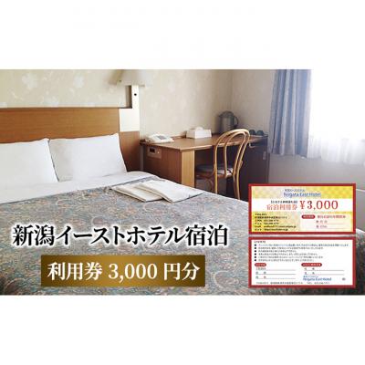 ふるさと納税 新潟市 [新潟イーストホテル]宿泊利用券3,000円分 チケット 