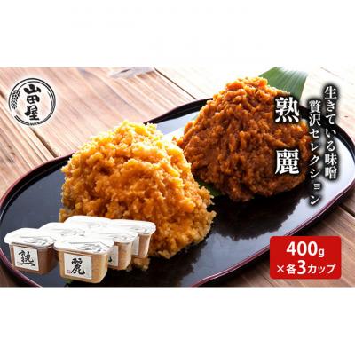ふるさと納税 新潟市 生きている味噌贅沢セレクション400g×各3カップ
