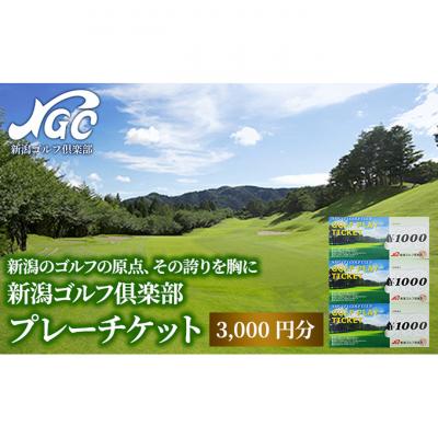 ふるさと納税 新潟市 新潟ゴルフ プレーチケット 3000円分チケット