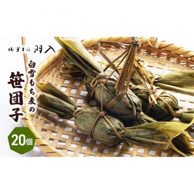 ふるさと納税 新潟市 白雪もち麦の笹団子 