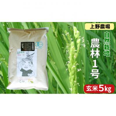 ふるさと納税 新潟市 上野農場 農林1号 玄米5kg