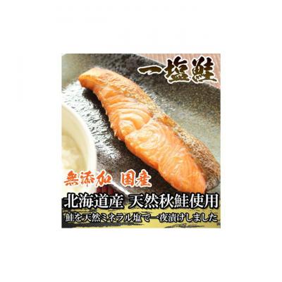 ふるさと納税 新潟市 一塩鮭 (薄塩)冷凍 EPA DHA